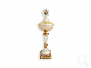 Prodejce roku 2005 (za prodej 102 ks traktorů Zetor)